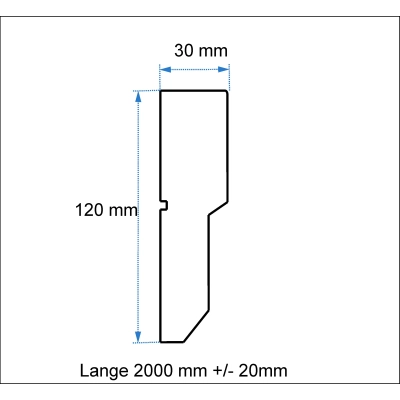 20m L-8 Fassadenleiste 120x30mm Außen